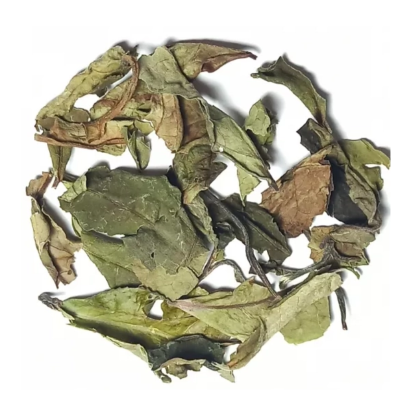 Pai Mu Tan